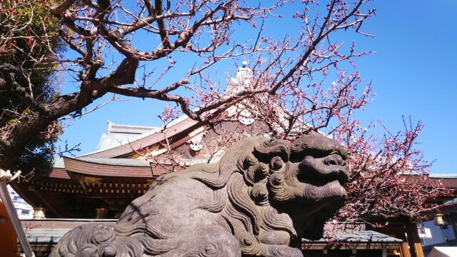 湯島天神